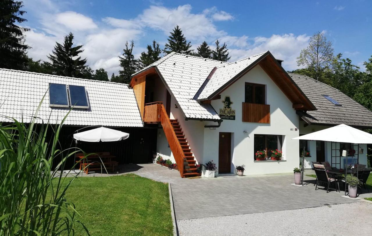Pr'cajhn Apartment Radovljica