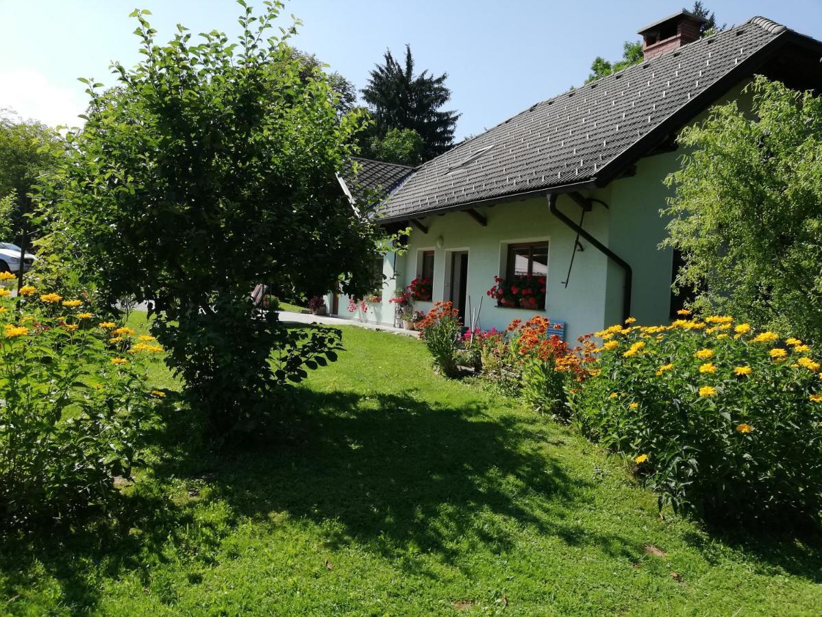 Pr'cajhn Apartment Radovljica